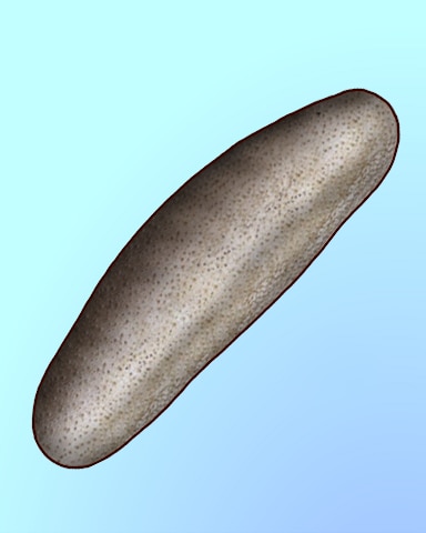 Quinn's Aquarium Sea Salt Garlic Bread Badge