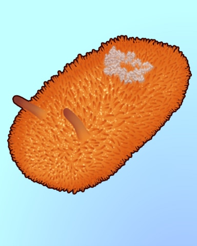 Quinn's Aquarium Orange Peel Out Badge