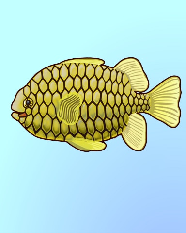 Quinn's Aquarium Penned Pineapplefish Badge
