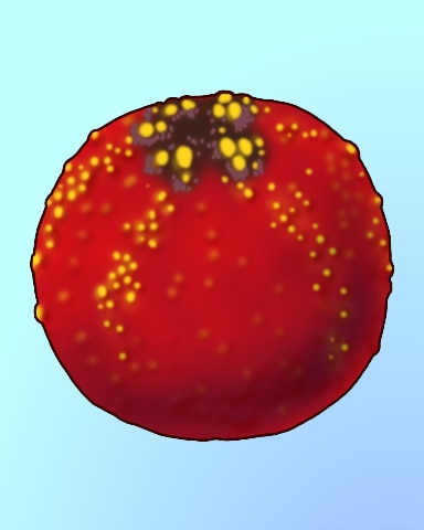 Quinn's Aquarium Sea Apple Of Your Eye Badge
