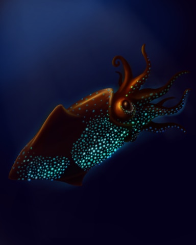 Quinn's Aquarium Shining Squid Badge
