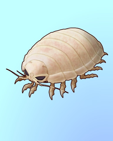 Quinn's Aquarium Big Bugs Badge