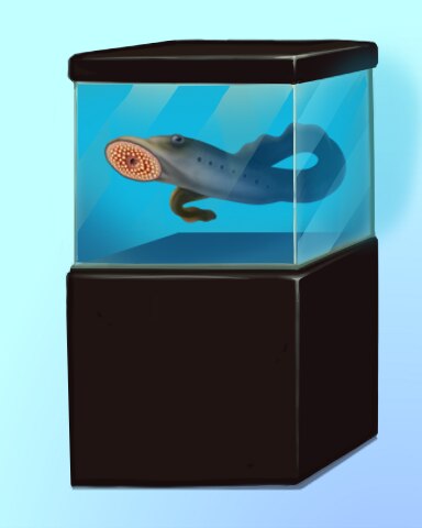 Quinn's Aquarium Make A Move Badge