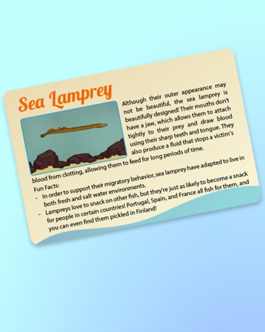 Quinn's Aquarium Drop-In Knowledge Badge
