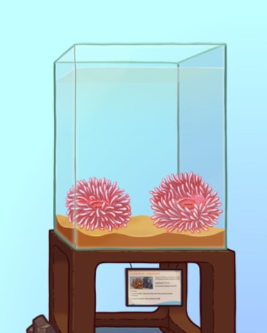 Quinn's Aquarium Pink Pals Badge