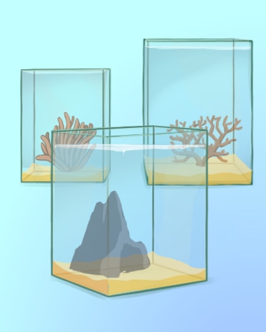 Quinn's Aquarium Tanks For The Memories Badge