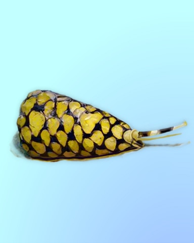 Quinn's Aquarium Snail Mail Badge