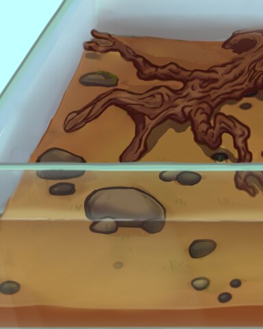 This Totally Rocks! Badge - Quinn's Aquarium