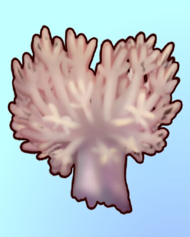 Quinn's Aquarium Don't Be A Xenia-Phobe Badge