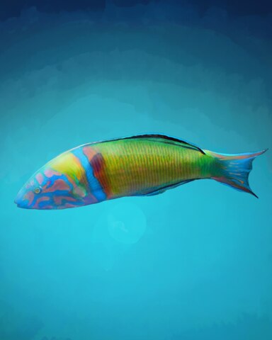 Quinn's Aquarium The Mediterranean Sea Badge