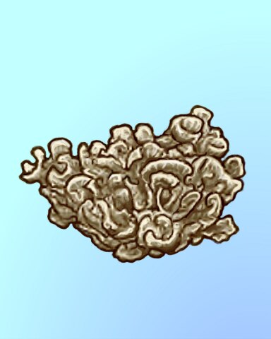 Quinn's Aquarium Not-So-Tall Tail Badge