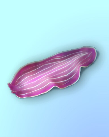 Quinn's Aquarium Just Like Candy Badge