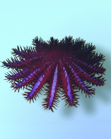 Crowning Achievement Badge - Quinn's Aquarium