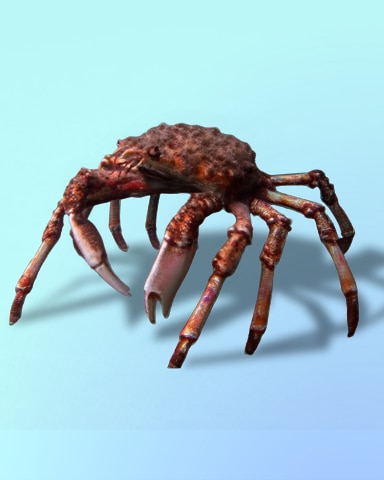 Sat Down Beside Her Badge - Quinn's Aquarium