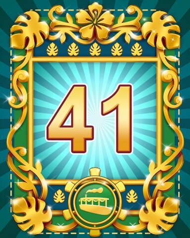 Amazon Expedition Badge 41
