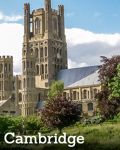 Royal Wedding: One Year Later Cambridge Badge