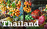 Grub Crawl Thai Food Badge