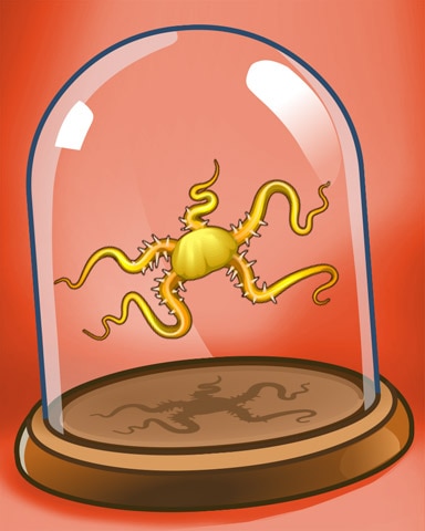 Brittle Star Badge - Quinn's Aquarium