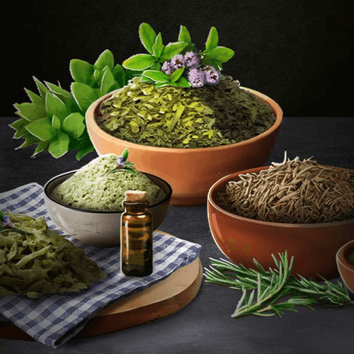 Herbs and Spices Badge Collection