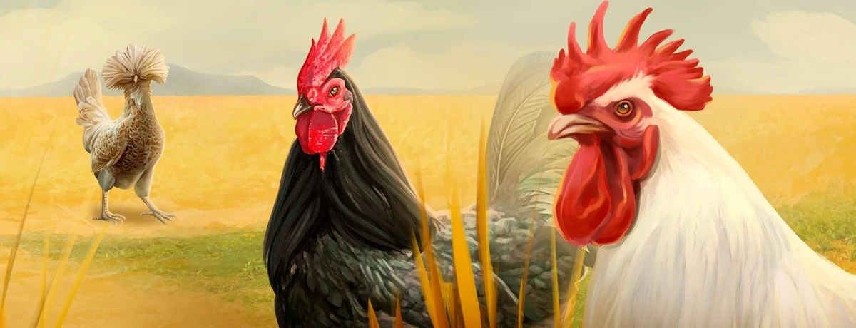 Chickens Badge Collection Week One