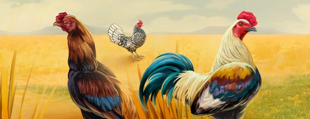 Chickens Badge Collection Week Three