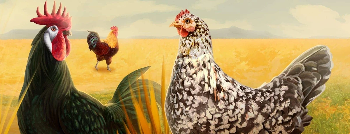 Chickens Badge Collection Week Two