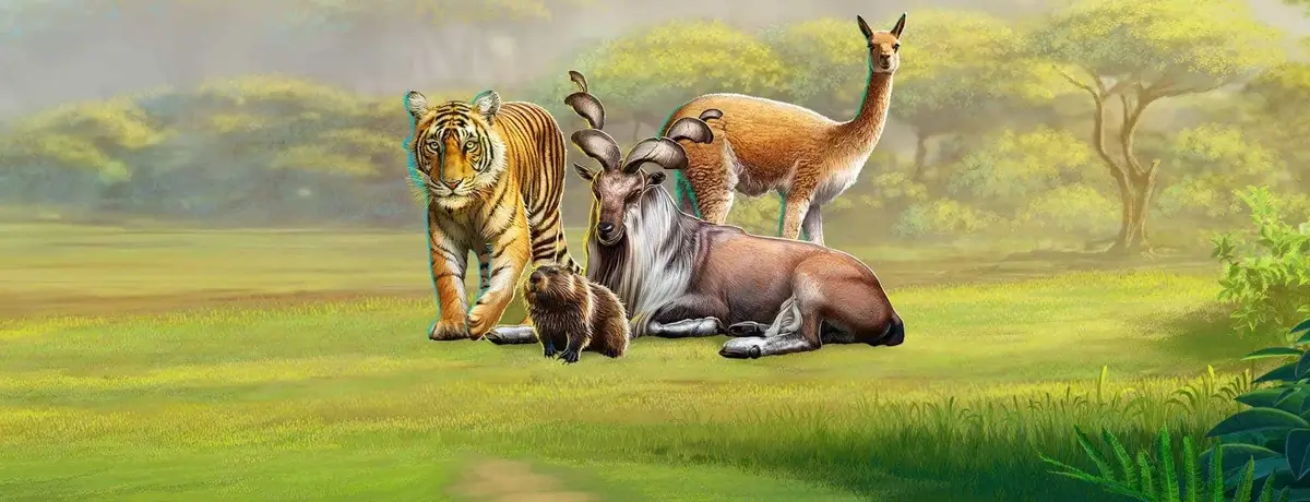 National Animals Badge Collection Week Five