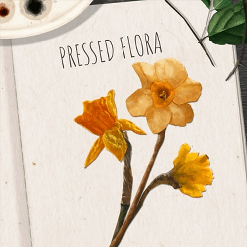 Pressed Flora Badge Collection