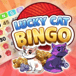 Lucky Cat Bingo Hallow Wings Event