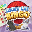 Lucky Cat Bingo: Troublemakers Event