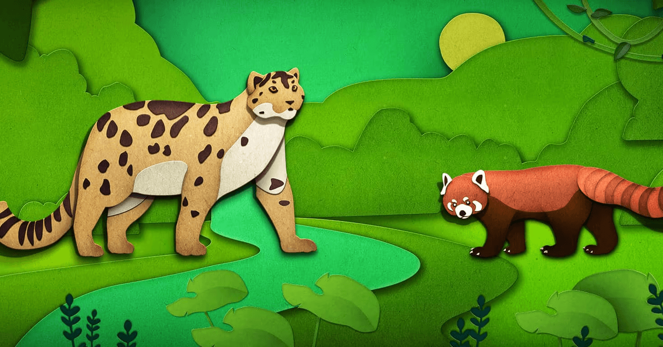 Endangered Animals Badge Collection Pack 3