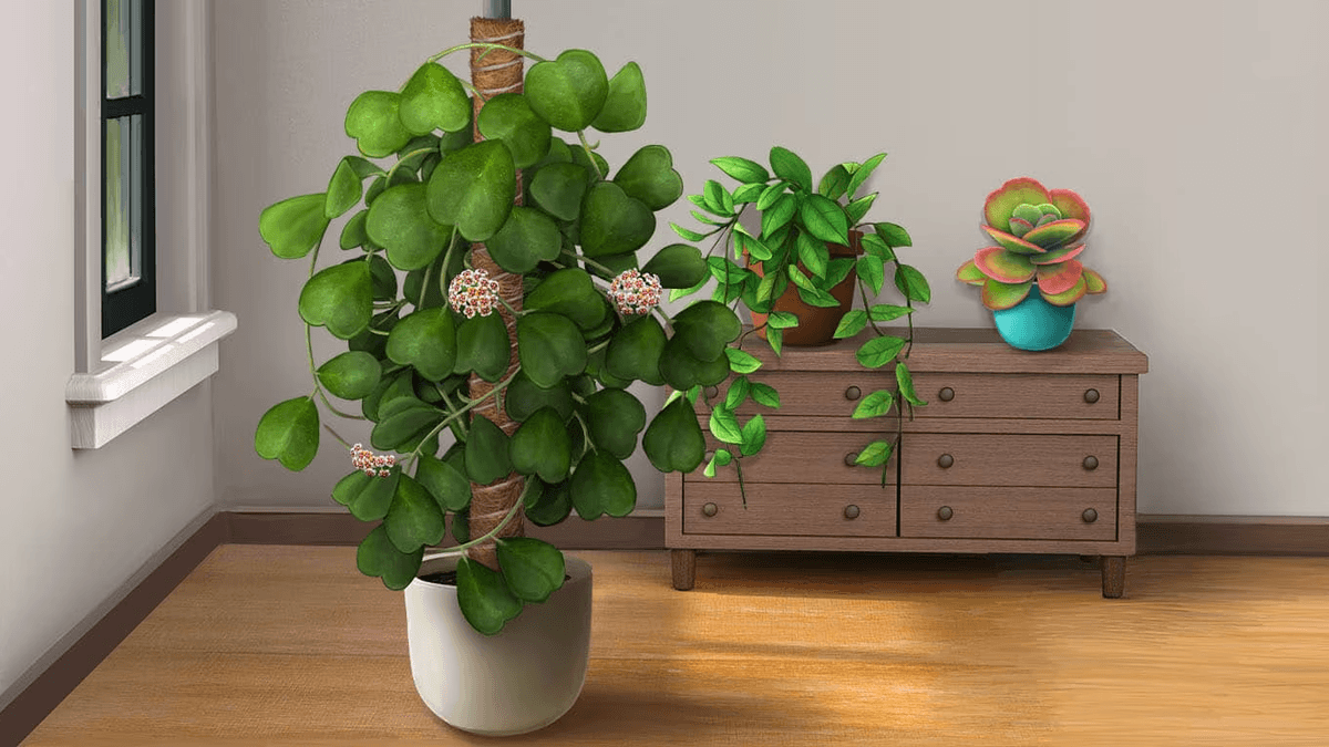 Houseplants Badge Collection Pack 3
