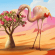 Desert Wonders Badge Collection: Pack 4