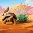 Desert Wonders Badge Collection: Pack 3