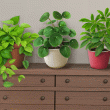 Houseplants Badge Collection: Pack 4