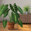 Houseplants Badge Collection: Pack 1