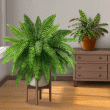 Houseplants Badge Collection: Pack 2