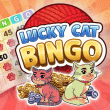 Lucky Cat Bingo: Hallow Wings Event #2