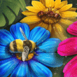 Pollinators Badge Collection: Pack 1