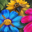 Pollinators Badge Collection: Pack 3