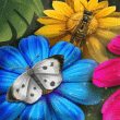 Pollinators Badge Collection: Pack 2